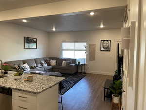 Living room featuring dark wood-type flooring