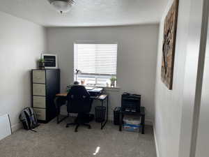 Office featuring a textured ceiling and carpet floors