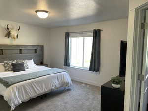 Carpeted bedroom with a textured ceiling