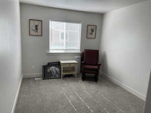 Living area featuring carpet floors