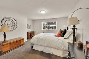 Basement bedroom with lots natural light