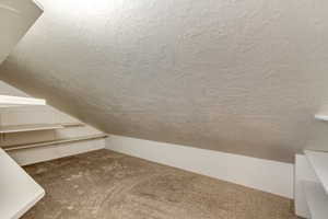 Additional living space featuring vaulted ceiling, a textured ceiling, and carpet