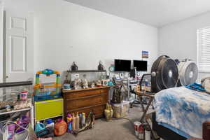 Bedroom with carpet flooring