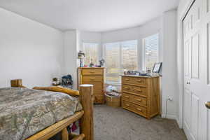 Carpeted bedroom with a closet