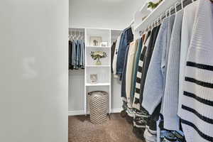 Spacious closet featuring carpet flooring