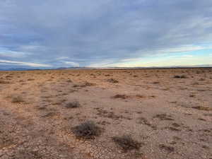 View of local wilderness with a rural view