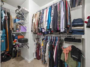 Walk in closet featuring carpet flooring