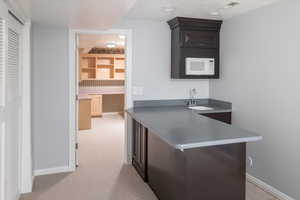 Wet bar with tasteful backsplash, sink, light carpet, and dark brown cabinetry