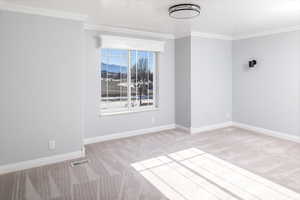 Family room with crown molding and light carpet