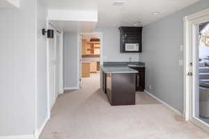 Kitchen featuring a kitchenette, sink, light colored carpet, and white microwave