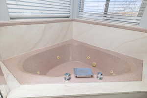 Interior details with jetted tub