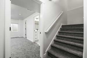 Staircase featuring carpet flooring