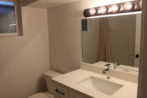 Bathroom featuring vanity and toilet