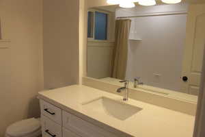 Bathroom with vanity, toilet, and a shower with curtain