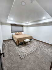 Carpeted bedroom featuring a raised ceiling