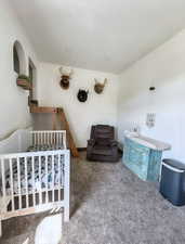 Bedroom with a nursery area and carpet floors