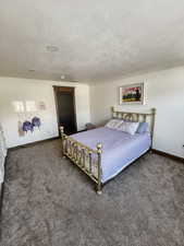 Carpeted bedroom featuring a textured ceiling