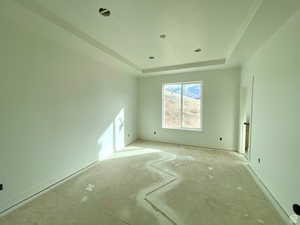 Unfurnished room with a tray ceiling