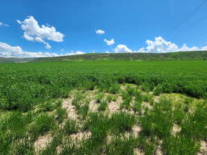 View of nature featuring a rural view