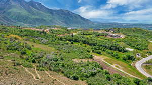 Birds eye view of property with a mountain view