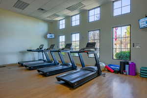 Exercise room with hardwood / wood-style flooring, a paneled ceiling, a high ceiling, and a wealth of natural light