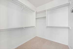 Spacious closet with carpet flooring