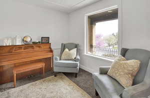 Living area featuring carpet flooring