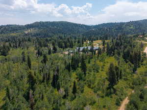 Aerial overview of property's location featuring a forest