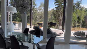 View of moose from dining room