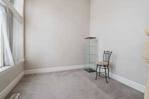 Unfurnished room featuring light colored carpet and a high ceiling