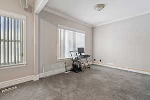 Exercise area with ornamental molding, plenty of natural light, and carpet flooring