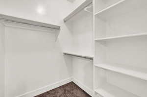 Spacious closet featuring carpet flooring