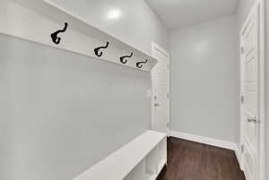 Mudroom featuring dark wood-type flooring