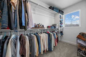 Walk in closet with carpet flooring