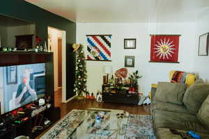 Living room with dark hardwood / wood-style flooring