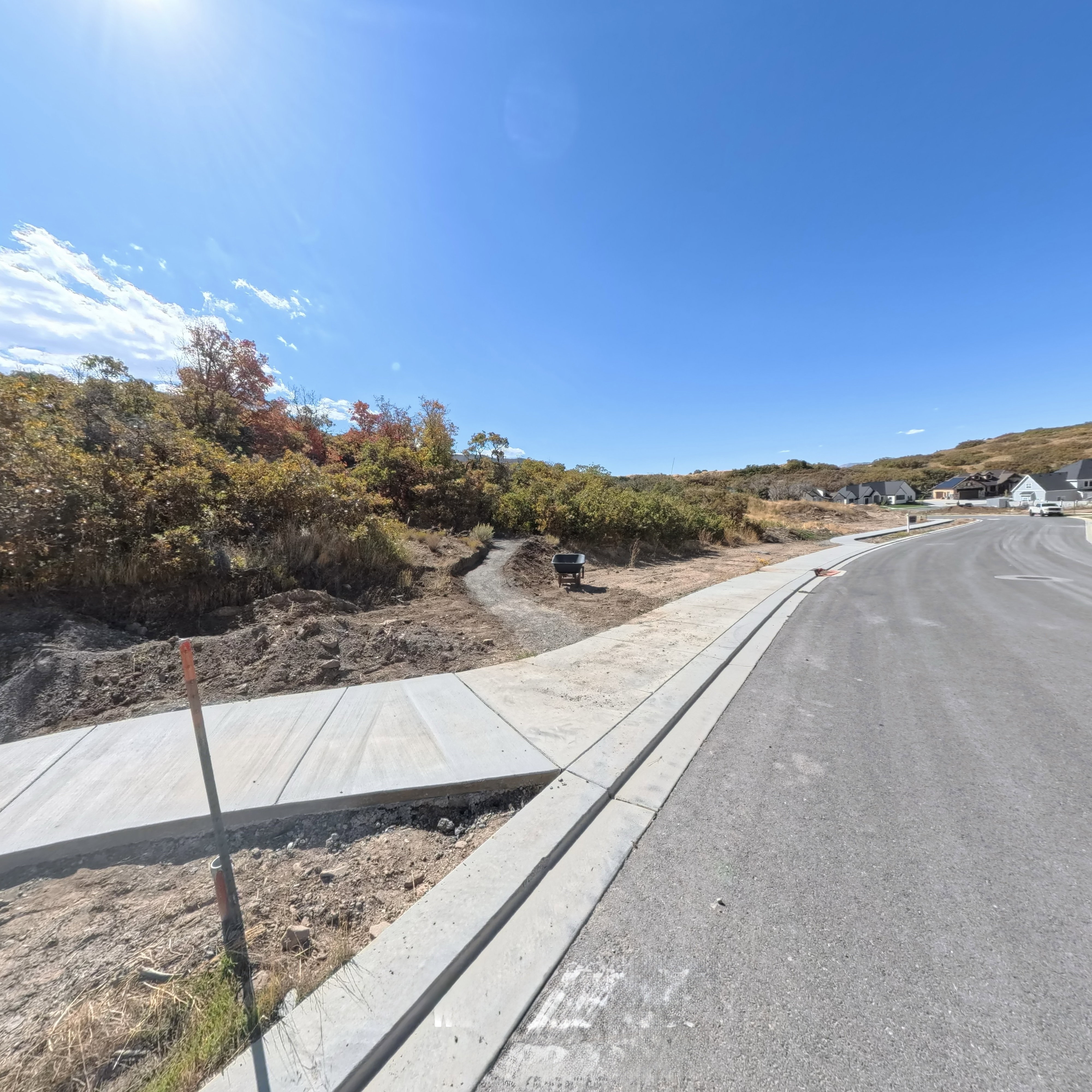 View of road with sidewalks, curbs, and view of scattered trees