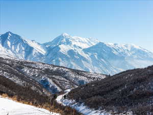 View of Timp