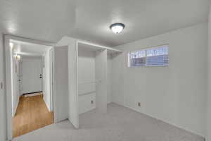 Spacious closet with carpet