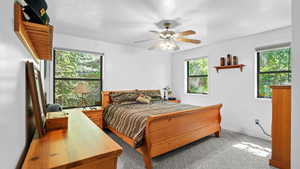 Carpeted bedroom with ceiling fan and multiple windows