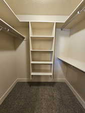 Spacious closet with dark colored carpet