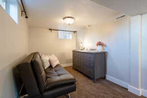 Living area featuring carpet and a textured ceiling