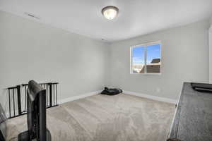 Miscellaneous room featuring light colored carpet