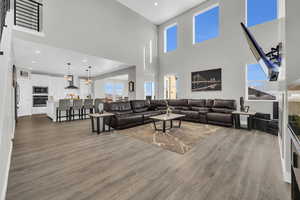 Living room featuring dark hardwood / wood-style flooring, a wealth of natural light, and a high ceiling