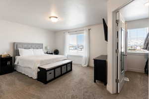 Bedroom with carpet floors