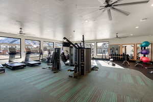 Exercise room with carpet floors, a textured ceiling, and a wealth of natural light