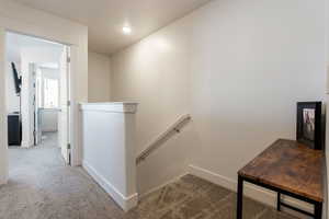 Staircase with carpet floors