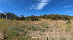 View of undeveloped land