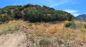 View of mountain backdrop