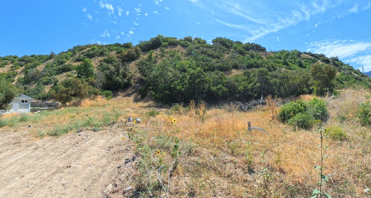View of undeveloped land featuring rural landscape