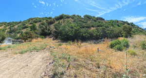View of undeveloped land featuring rural landscape